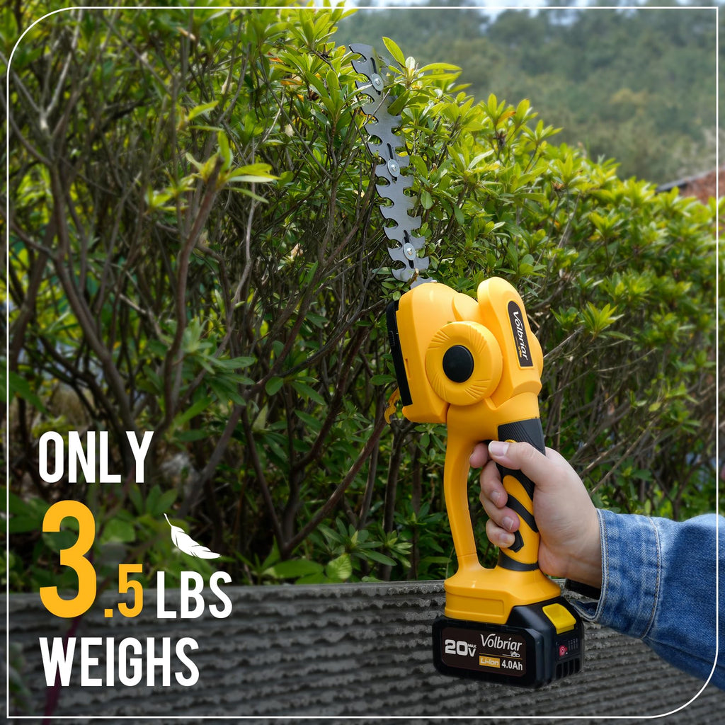 Volbriar 2-in-1 Cordless Pole Hedge Trimmer & Grass Shear, 14FT Reach