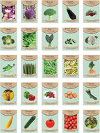 Set of 25 Super Food Seed Packets – Ultimate High-Yield, Nutrient-Dense Vegetable Varieties for Healthy Home Gardens – Non-GMO, Heirloom Seeds
