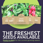 Organic Window Sill Seeds Variety Pack - 10 Individual Packs - 2025 Season - Basil, Cilantro, Pink Beauty Radish and More! for Indoor & Outdoor Planting (Non-GMO, Certified Organic)