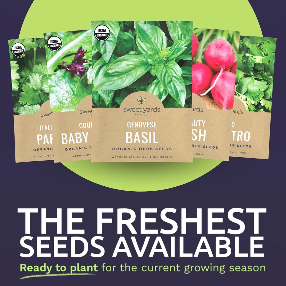 Organic Window Sill Seeds Variety Pack - 10 Individual Packs - 2025 Season - Basil, Cilantro, Pink Beauty Radish and More! for Indoor & Outdoor Planting (Non-GMO, Certified Organic)