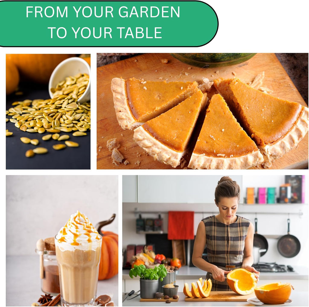 Woods Creek Seeds: Jack O Lantern Pumpkin Seeds for Planting - Over 40 Heirloom Non-GMO Pumpkin Seeds to Plant - Ideal Heirloom Seeds to Grow for Decor & Fall Harvest - Pumpkins for Outdoor Gardens