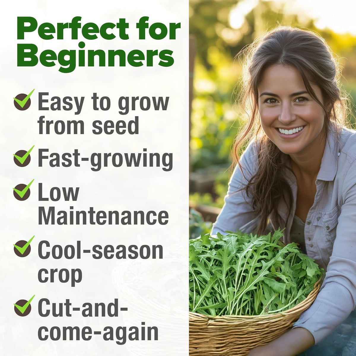 HOME GROWN 𝗨𝗦𝗔 𝗣𝗥𝗘𝗠𝗜𝗨𝗠 Arugula Roquette Seeds Pack 2,175 𝗡𝗢𝗡-𝗚𝗠𝗢 Heirloom Arugula Seeds for Planting Best for Outdoor Gardens,Providing Fast-Growing Greens for Salads - Eruca vesicaria