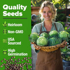 HOME GROWN 7 Cabbage Seeds for Planting - 2000+ Heirloom 𝗡𝗢𝗡-𝗚𝗠𝗢 𝗨𝗦𝗔 Seeds - Golden Acre,BokChoy,Savoy,Michihili, Red Acre, Copenhagen Market,Jersey Wakefield - Vegetable Seeds for Planting