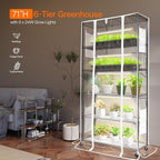 Bstrip Indoor Greenhouse with Grow Light, Mini Green House with 5 Pack T8 Full Spectrum Plant Lights, Plant Shelf with Tent for Indoor Plant, Seed Starting, Seed Tray, 35.4"x13.8"x71"