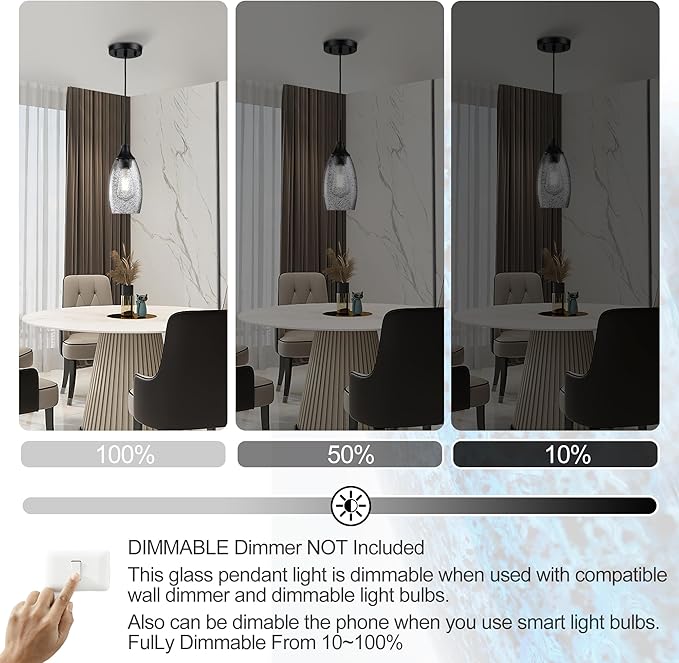 Mini Glass Pendant Light 1-Light 4.72" Handblown Black Seeded Clear Glass Shade,with Matte Black Metal Adjustable Cord Ceiling Light Fixture for Kitchen Island Sink