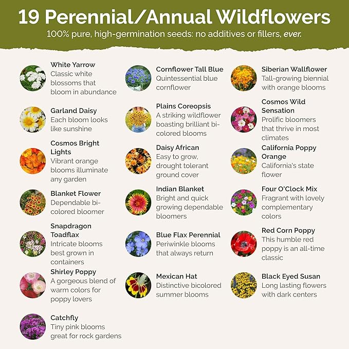 Eden Brothers New Mexico Wildflower Mixed Seeds for Planting, 1 oz, 30,000+ Seeds with Yarrow, Coreopsis | Attracts Pollinators, Plant in Spring or Fall, Zones