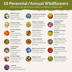 Eden Brothers New Mexico Wildflower Mixed Seeds for Planting, 1 oz, 30,000+ Seeds with Yarrow, Coreopsis | Attracts Pollinators, Plant in Spring or Fall, Zones