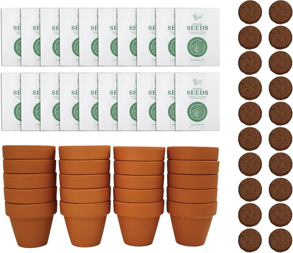 BUZZY Seeds Gardening Kits|Sunflower Seeds to Plant|Flower Starter Kit for Kids & Adults|Terracotta Mini Grow Pots|Bulk 20 Pack|Guaranteed to Grow|Wedding Favors|Teachers Gift