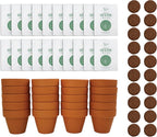 BUZZY Seeds Gardening Kits|Sunflower Seeds to Plant|Flower Starter Kit for Kids & Adults|Terracotta Mini Grow Pots|Bulk 20 Pack|Guaranteed to Grow|Wedding Favors|Teachers Gift