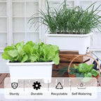 Oliz Self-Watering Rectangle Planter Boxes 8-Pack, 15.7-Inch Window Box Planter with Drainage Holes & Trays, Pots for Vegetables, Herbs, Flowers, Garden Windowsill Balcony (White)