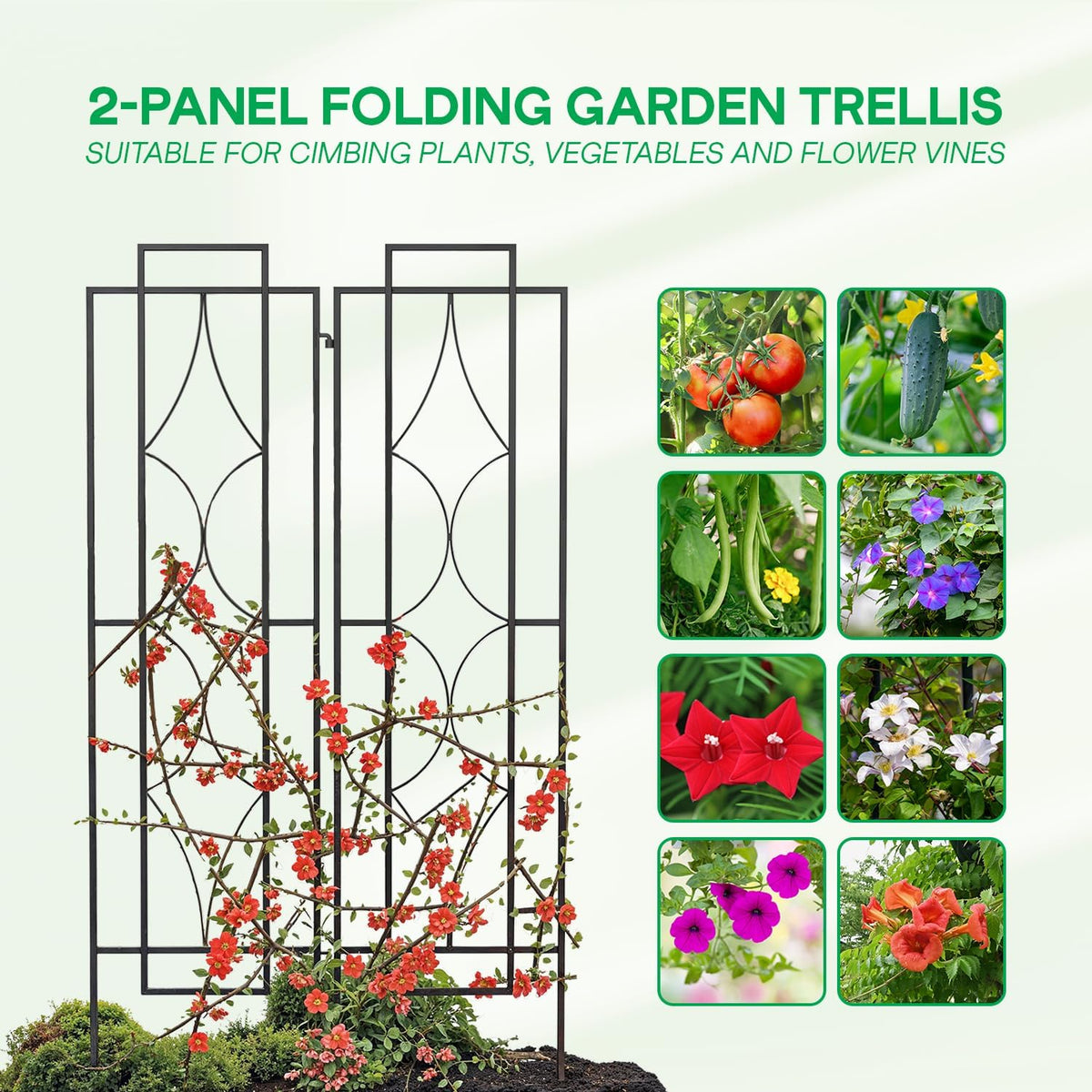 IDZO 2-Piece Diamonds Design Decoration Trellis, Metal Decorative Trellis for Climbing Plants Outdoor, Garden Trellis for Climbing Plants, Climbing Rose Trellis, 48-Inch Tall Each, Black