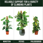 Moss Pole Pack of 4 – 50CM Monstera Plant Support | Natural Coco Coir Plant Poles for Indoor Plants | Extendable Moss Sticks for Climbing Plants, Pothos & Philodendron