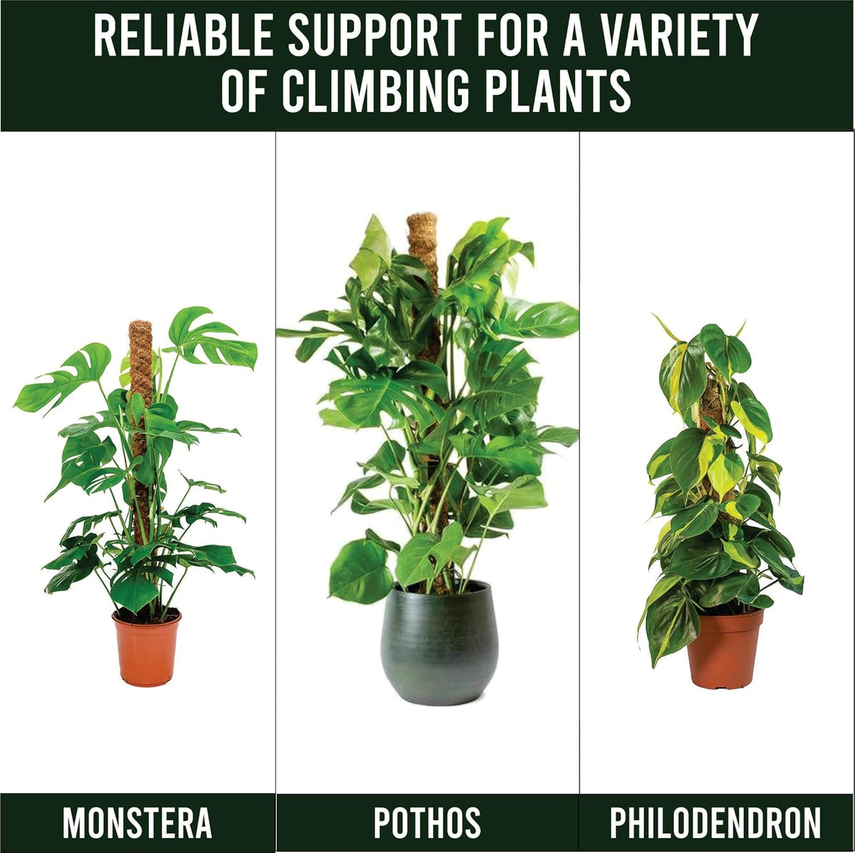 Moss Pole Pack of 4 – 50CM Monstera Plant Support | Natural Coco Coir Plant Poles for Indoor Plants | Extendable Moss Sticks for Climbing Plants, Pothos & Philodendron