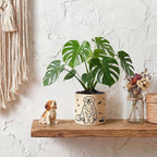 STHIE Ceramic Plant Pots with Drainage Holes, 5 inch Round Flower Pots for Indoor Plant, Cute Flower Planters for Snake Plant, Hand-Painted Garden Pots (Sitting Dog)