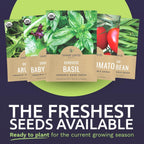 Organic Container Garden Seeds Variety Pack - 10 Individual Packs - 2025 Season - Ruquette arugula, Genovese Basil and More! for Indoor & Outdoor Planting (Non-GMO, Certified Organic)