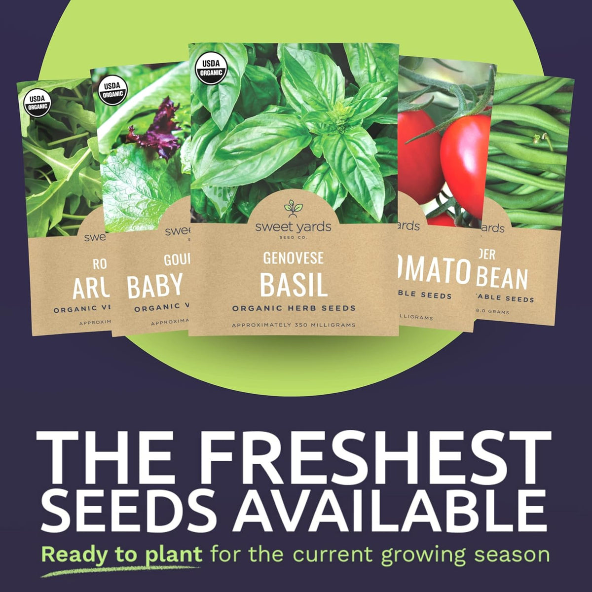 Organic Container Garden Seeds Variety Pack - 10 Individual Packs - 2025 Season - Ruquette arugula, Genovese Basil and More! for Indoor & Outdoor Planting (Non-GMO, Certified Organic)