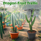 Metal Dragon Fruit Trellis，Adjustable Dragon Fruit Plant Trellis for Vertical Gardening and Climbing Plants Trees Cactus Garden Outdoor Indoor Potted Support （Black）