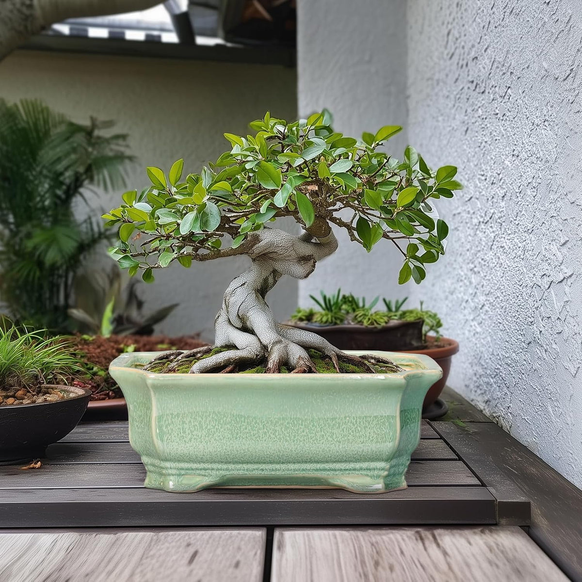 Bonsai Pots - 13.7 Inch Rectangle Ceramic Pots for Plants, Large Succulent Planter with Drainage Hole, Decorative Planters for Indoor Outdoor, Garden House Decor, Housewarming Gifts, Green
