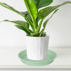 4 Pack of 14 inch Plant Saucers Bird Bath Bow Round, Plastic Plant Saucer Tray for Pots, White Planters for Indoor Plants, Plant Trays for Planter 12-15" (14", Light Green)