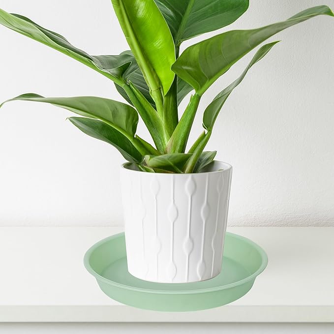 6 Pack Plastic Plant Saucer Water Drip Tray, 4 5 6 7 8 9 10 11 12 13 15 17 19 inch, Heavy Sturdy Plant Drainage Tray for Indoors Outdoor, Saucers for Pots Base (4", Light Green)