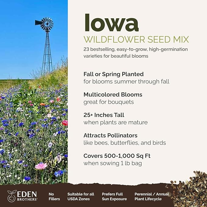 Eden Brothers Iowa Wildflower Mixed Seeds for Planting, 1 lb, 480,000+ Seeds with Cornflower, Candytuft | Attracts Pollinators, Plant in Spring or Fall, Zones