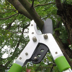 Bypass Lopper with Extendable, Anvil Lopper Heavy Duty, Tree Trimmer Telescopic 26-41 Inch, Garden Pruner 5 Sections Handle Adjustment, Branch Cutter with 2 Inch Cut Capacity