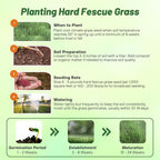 Outsidepride Hard Fine Fescue Grass Seed - 10 lbs. Low-Growing, Drought & Shade-Tolerant, OptiGrowth Coated Seed for Lawn & Turf, Ideal for Low-Maintenance, Dense, & Resilient Green Ground Cover
