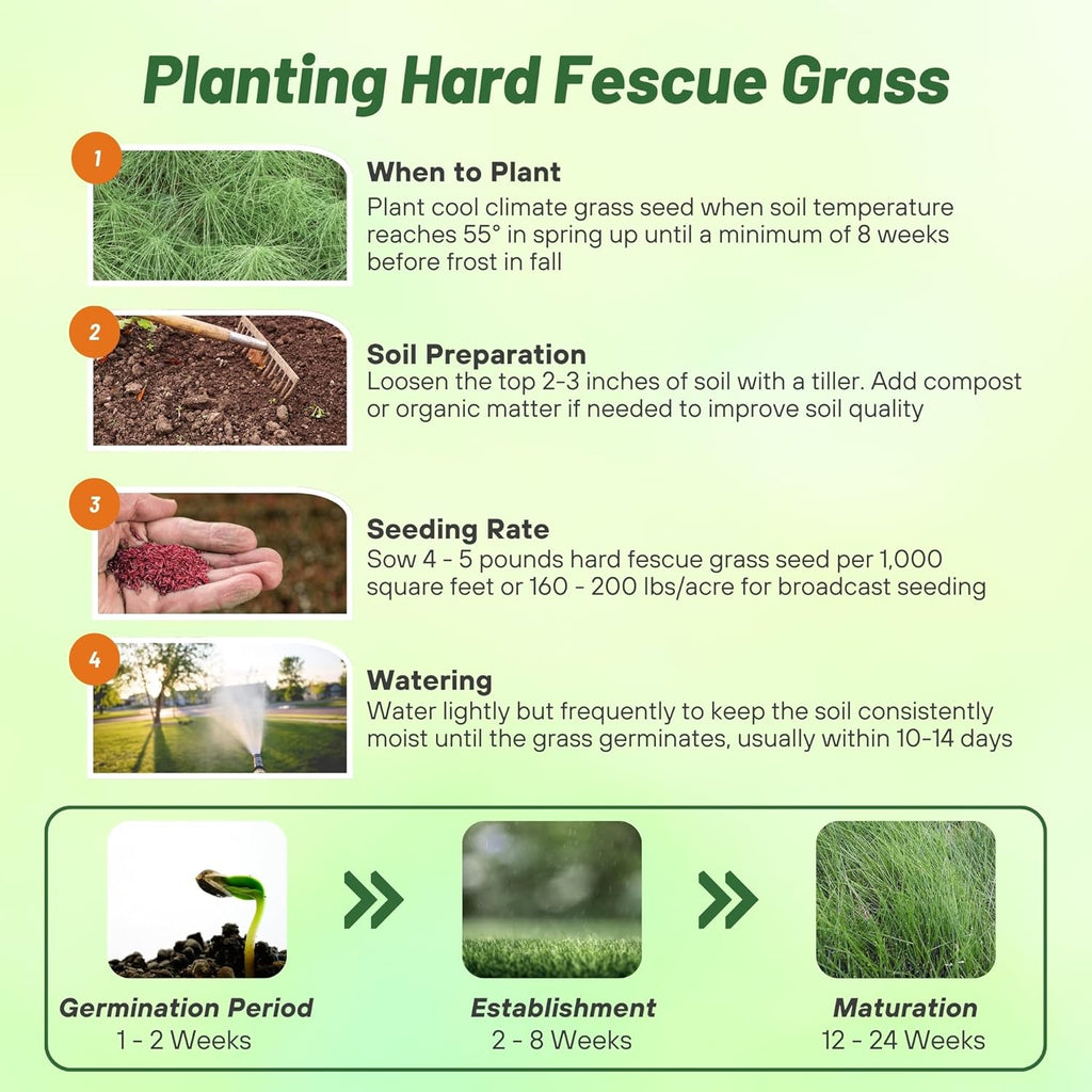 Outsidepride Hard Fine Fescue Grass Seed - 50 lbs. Low-Growing, Drought & Shade-Tolerant, OptiGrowth Coated Seed for Lawn & Turf, Ideal for Low-Maintenance, Dense, & Resilient Green Ground Cover
