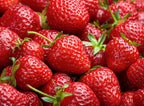 Albion Everbearing Strawberry Plants - Fruit Very Firm, Sweet, High Yields (30 Plants) Can Not Ship to California.