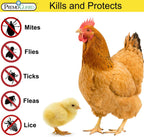 Poultry Spray by Premo Guard – 16 oz – Treat Mites, Fleas, Flies, and Lice – Effective Plant Based – Chicken, Turkey, Waterfowl, and Birds – Best Natural Protection for Control & Prevention