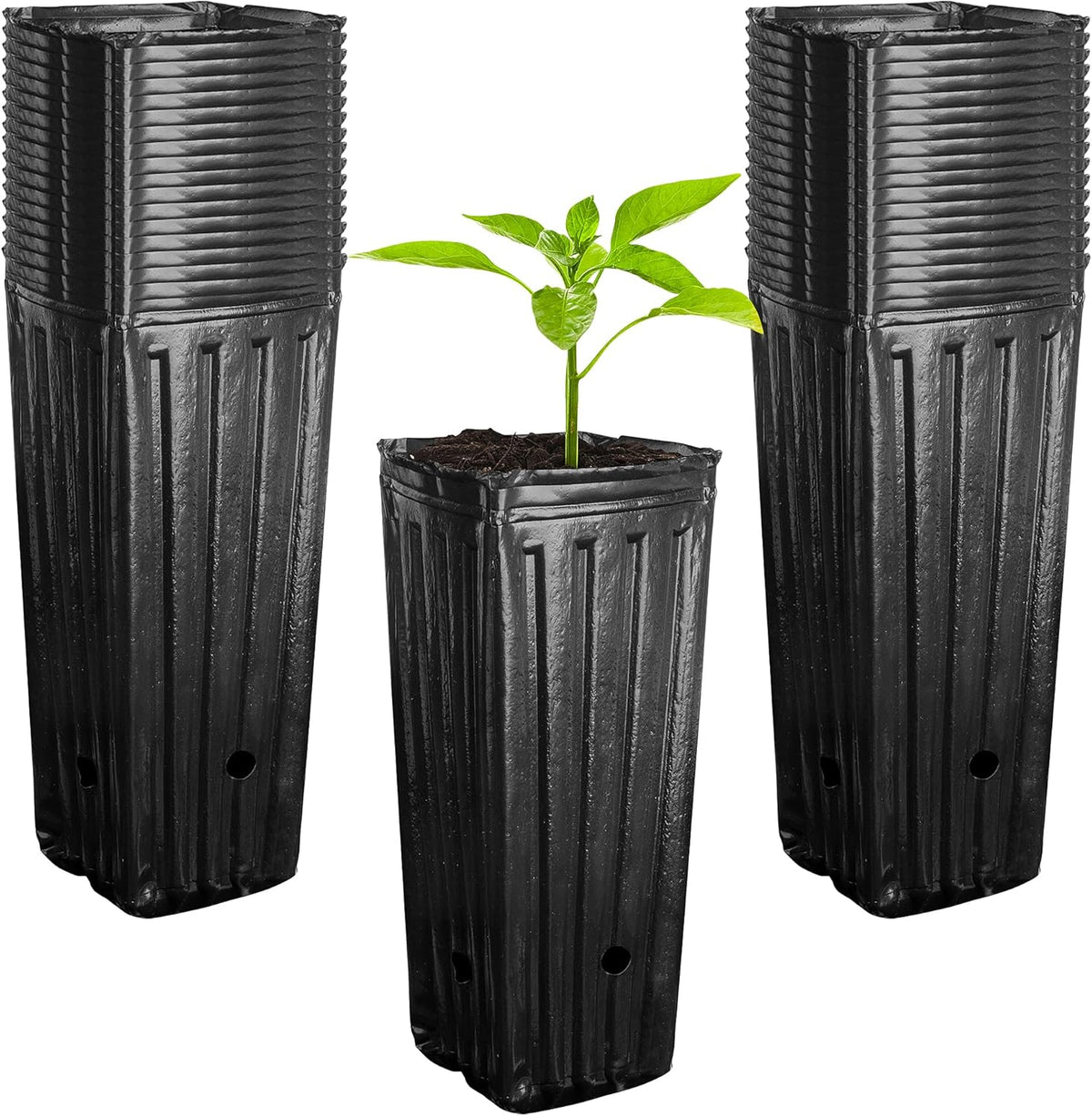 RunNico 50pcs Plastic Deep Plant Nursery Pots,11.8”Tall Tree Pots,Black Deep Seedling Container Pots with Drainage Holes for Indoor Outdoor Gardening (3.9" Wx11.8 H)