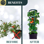 SunVara Small Tomato Cage for Pots Mini Tomato Cage Trellis 9'' Each 36'' in Total with Gloves
