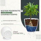 Plant Pots Indoor with Drainage, 10 Pack Multi-Size Planters Set, White