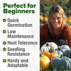 HOME GROWN 𝗨𝗦𝗔 𝗣𝗥𝗘𝗠𝗜𝗨𝗠 5 Pumpkin Seeds Mix - 40 Seeds 𝗡𝗢𝗡-𝗚𝗠𝗢 Heirloom Pumpkin for Planting Ideal Garden for Unique Varieties Yellow Paris and Casper, Culinary and Decorative Use