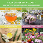 Ultimate Medicinal Herb Seeds Variety Pack – 36 Heirloom Non-GMO Healing Herbs for Planting | Wellness & Apothecary Garden Kit for Herbalists, Homesteaders – Survival Garden Seeds (28,000+)