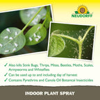 Neudorff Indoor Plant Spray for House Plants & Greenhouse, Kills Spider Mites, and Scale and 100+ Listed Insects on Contact for Organic Gardening, Contact Insecticide, Ovicide (32 oz)