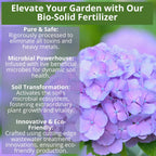 8-4-8 Acidic Fertilizer for Azaleas, Camellias (Camelia), Hydrangeas, Blueberries, Gardenias, Magnolia Trees, Evergreens, and Rhododendrons - Ideal Iron-Rich Plant Food (5 QUARTS)