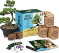 Garden Republic Bonsai Tree Kit - Grow 3 Mini Bonsai Trees, Indoor Plant Growing - Starter Kit with Seeds, Soil, Planters & Shears, Gardening Gifts for Women, Fathers Day Gardening Gifts