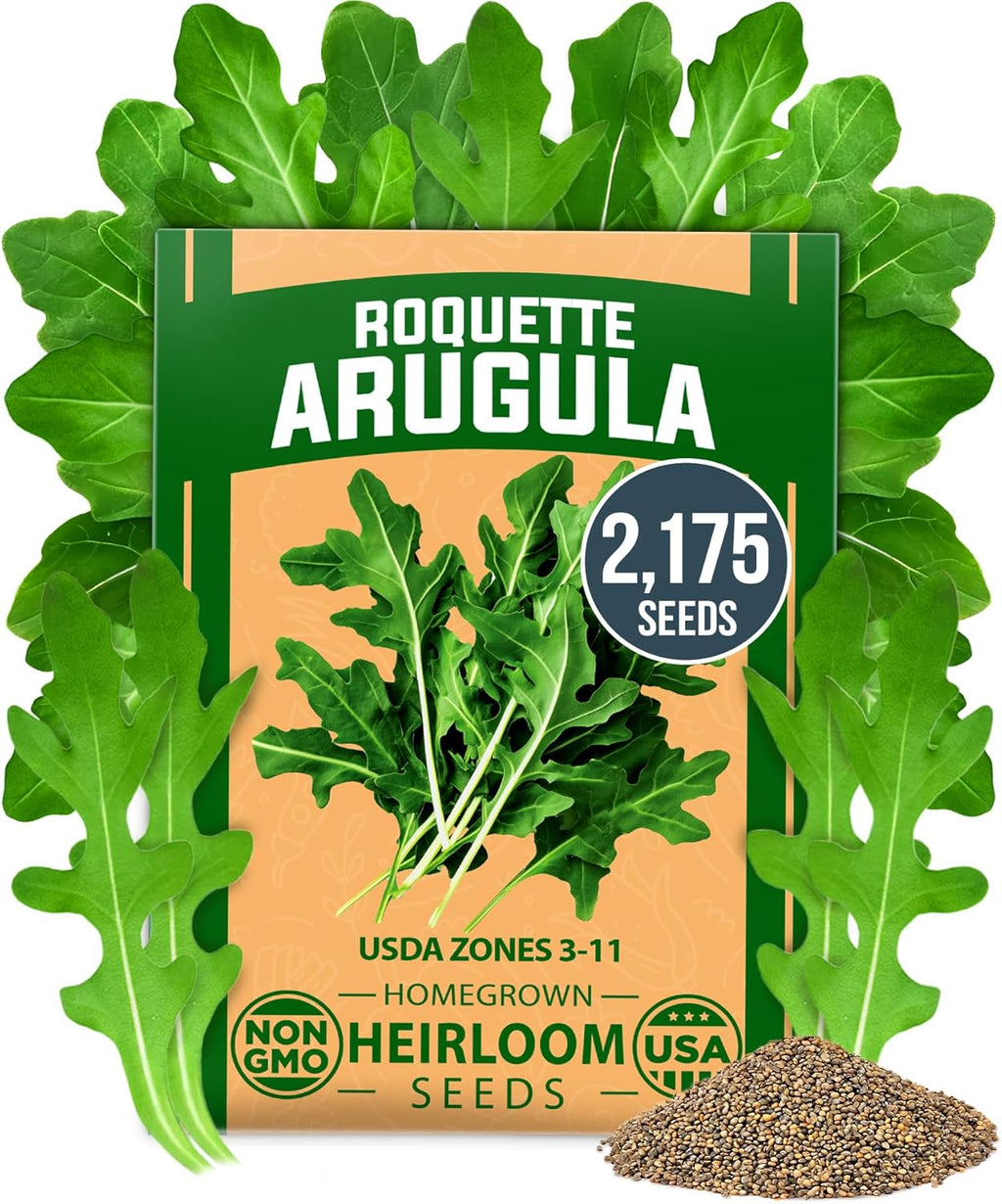 HOME GROWN 𝗨𝗦𝗔 𝗣𝗥𝗘𝗠𝗜𝗨𝗠 Arugula Roquette Seeds Pack 2,175 𝗡𝗢𝗡-𝗚𝗠𝗢 Heirloom Arugula Seeds for Planting Best for Outdoor Gardens,Providing Fast-Growing Greens for Salads - Eruca vesicaria