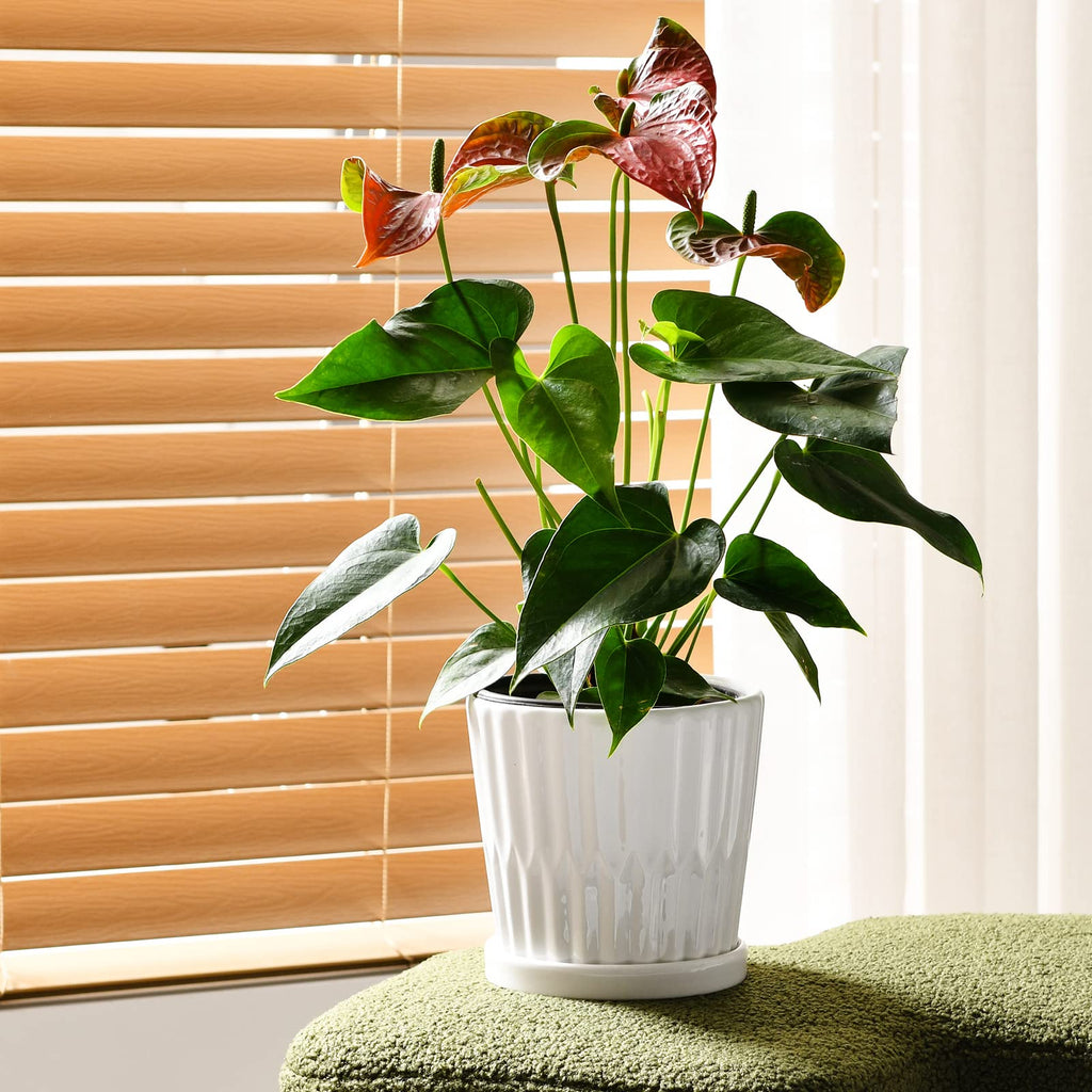 White 6 Inch Flower Pots for Plants,Ceramic Planter with Drainage Holes