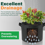 LotFancy 5-Pack 10 Gallon Grow Bags, Thickened Nonwoven Aeration Fabric Pots with Reinforced Handles, Heavy Duty Gardening Planter Containers for Vegetables Flowers Fruits, Black