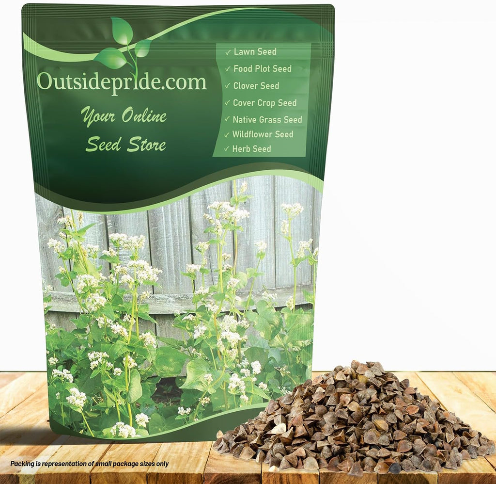 Outsidepride Buckwheat Seeds - 5lbs Annual, Fast-Growing, Easy to Grow Buckwheat Cover Crop Seeds for Green Manure, Bee Pasture & Pollinators, Wildlife Habitat, Soil Improvement, and Erosion Control