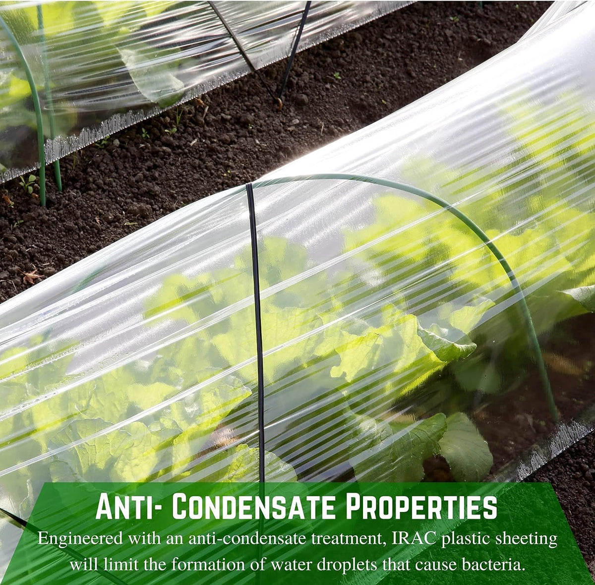 Farm Plastic Supply - Clear Coolmax Greenhouse Plastic Sheeting - 6 Mil - 4 Year UV Resistant Infrared Anti-Condensate Green House Covering Thermal Greenhouse Plastic 6 mil (50' x 60')