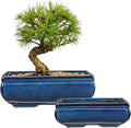 Set of 2 Blue Glazed Ceramic Bonsai Pots, 9.8" & 7.4" Rectangular Bonsai Pots Planters with Drainage for Indoor/Outdoor Plants, Shallow Bonzie Tree Pot for Succulents, Cacti, Orchids, Herbs, Flowers