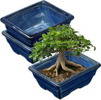 Bonsai Pots Shallow Succulent Planters for Live Bonsai Trees Set of 2, 6.3" Ceramic Pot for Succulents Indoor with Drainage Hole, Outdoor Cactus Plant Bonsai Pot，Ceramic Flower Pot
