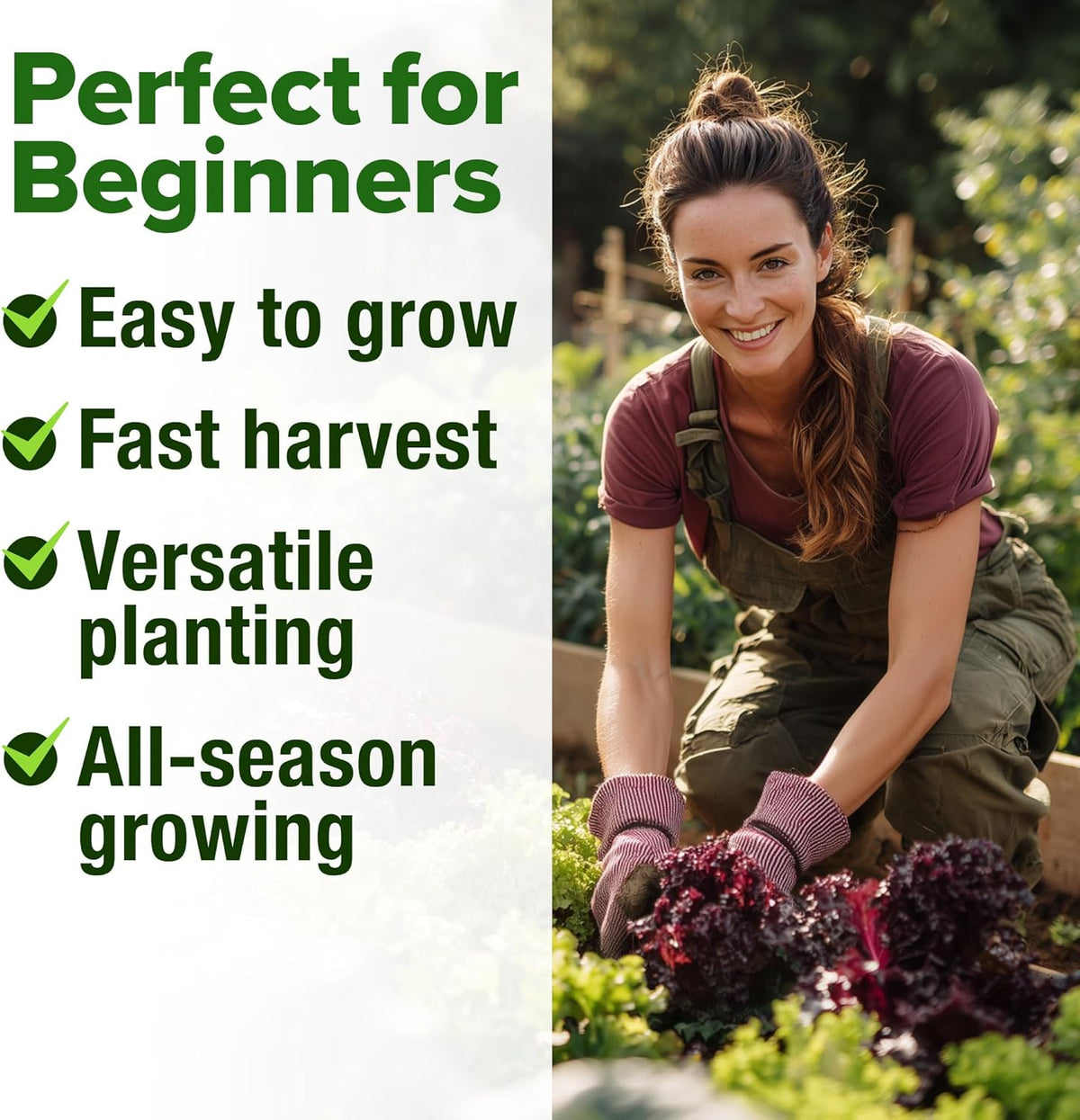HOME GROWN Lettuce Seeds for Planting - 8 Varieties Non-GMO Heirloom Salad Greens Seeds - 9000+ USA-Sourced Vegetable Seeds for Planting Outdoors, Indoors, Hydroponic Garden