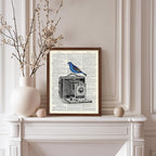 Poster Master Dictionary Art Poster - Antique Camera Print - Bird Art - Photography Art - Gift for Men, Women & Photographer - Chic Decor for Living Room, Bedroom or Office, 8x10 Brown Framed