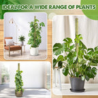 DUSPRO Stackable Mesh Moss Pole for Plants Monstera Potted Plant Stakes for Indoor Plants Extendable Plant Pole Moss Sticks for Plants Climbing Vine Supporting Monstera Trellis 2Pack 22''