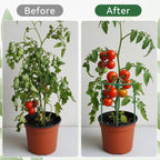 12 Pack Plant Support Stakes, 6.3 x 5.9 Inch Plastic Plant Cage Holders, Half Round Plants Support, Garden Flower Stakes for Indoor Outdoor Climbing Plants Vegetable Flower Pot