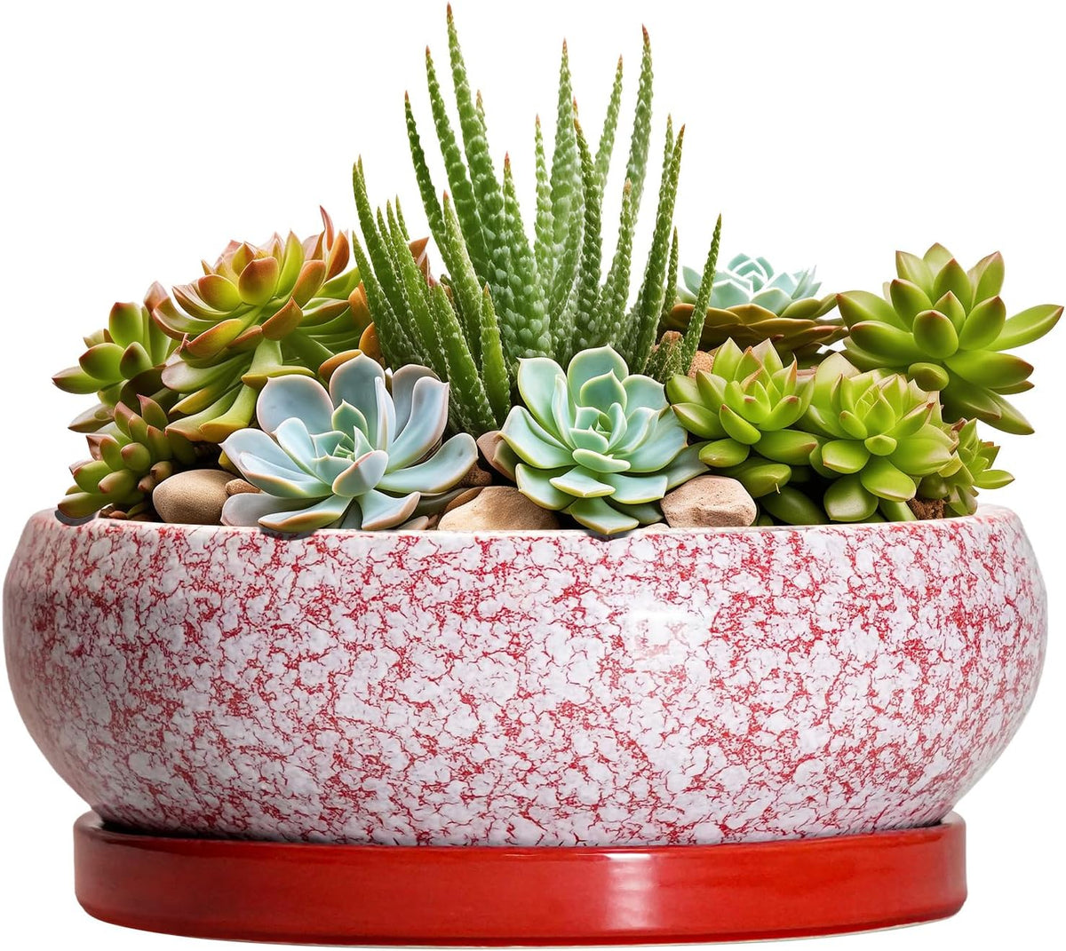 Succulent Pots - 8 Inch Bonsai Pots for Indoor Outdoor, Shallow Ceramic Planter with Drainage Hole and Saucer, Round Flower Succulent Planters, Room Decor, Gifts for Plant Lovers, Red